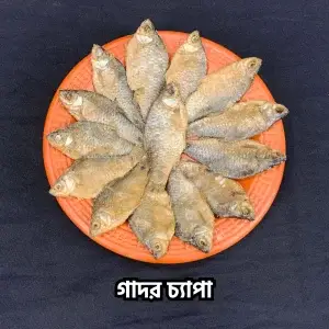 Premium Puti Chapa-পুঁটি চ্যাপা